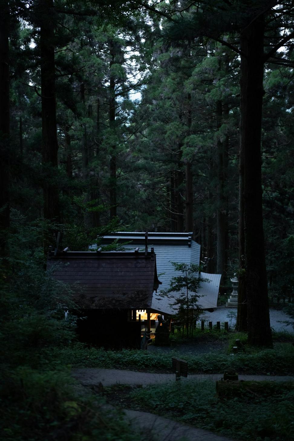 Minimalist dark cabin